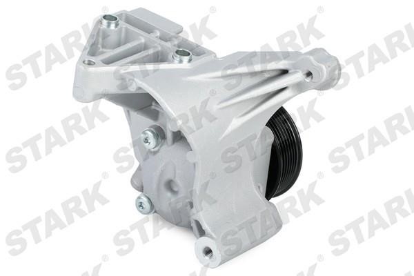 Hydraulic Pump, steering system Stark SKHP-0540160