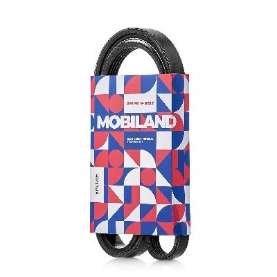 Mobiland 501251205 V-Ribbed Belt 501251205