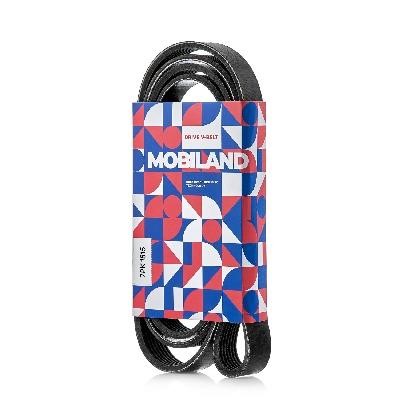 Mobiland 501271815 V-Ribbed Belt 501271815