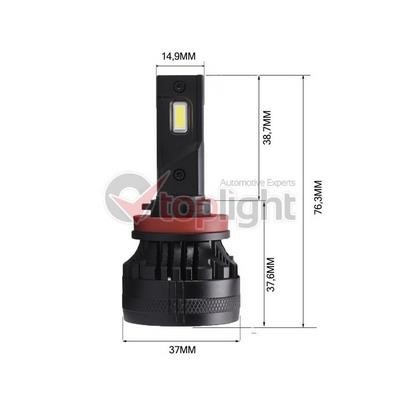 Buy TopLight 507383 at a low price in United Arab Emirates!