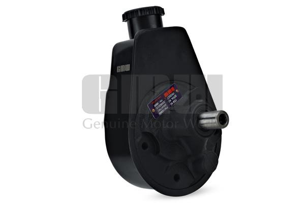 GMW PM15969 Hydraulic Pump, steering system PM15969
