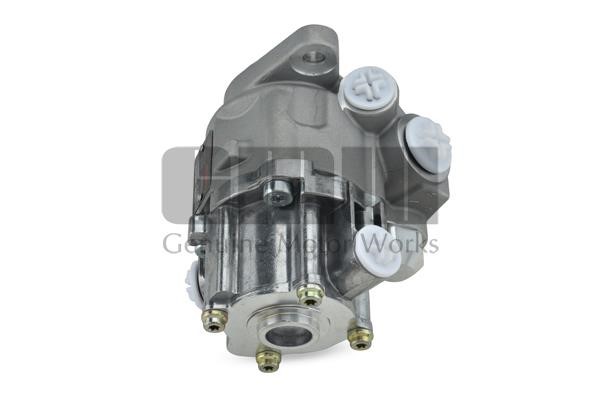 GMW PM04810 Hydraulic Pump, steering system PM04810