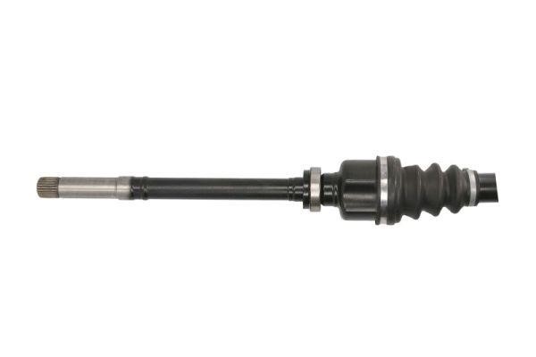 Drive shaft right Point Gear PNG71561