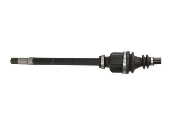 Drive shaft right Point Gear PNG74718