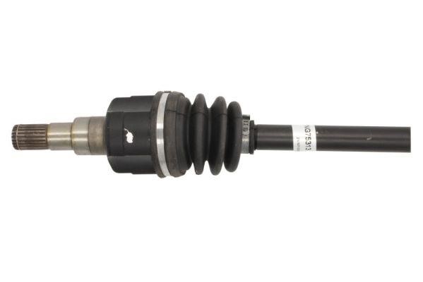 Buy Point Gear PNG75313 at a low price in United Arab Emirates!
