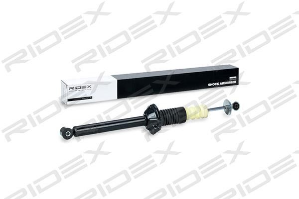 Ridex 854S0893 Rear oil and gas suspension shock absorber 854S0893