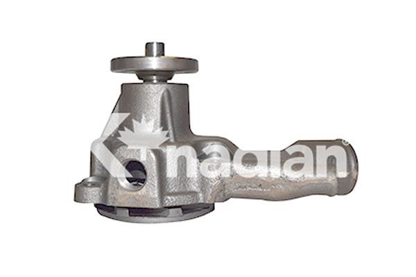 k'nadian P685 Water pump P685