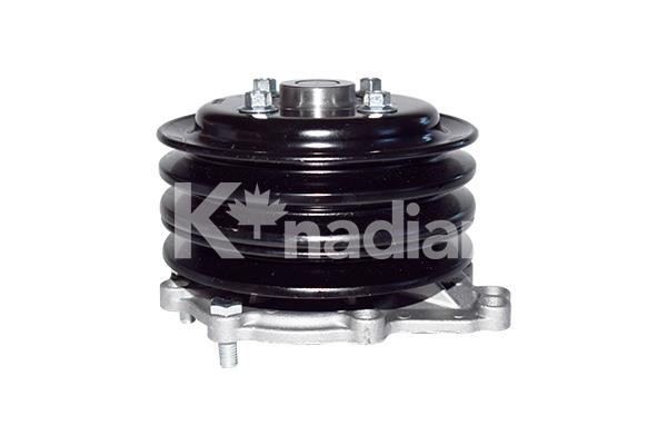 k'nadian P690 Water pump P690
