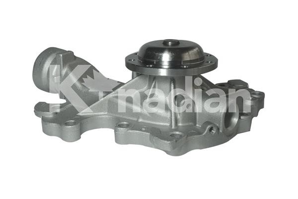 k'nadian P960 Water pump P960