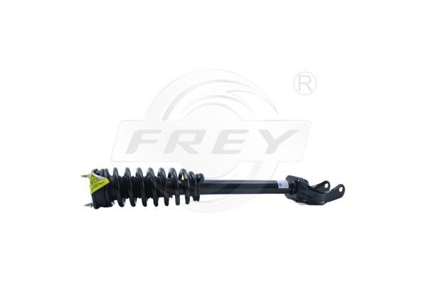 Frey 752192901 Front right gas oil shock absorber 752192901