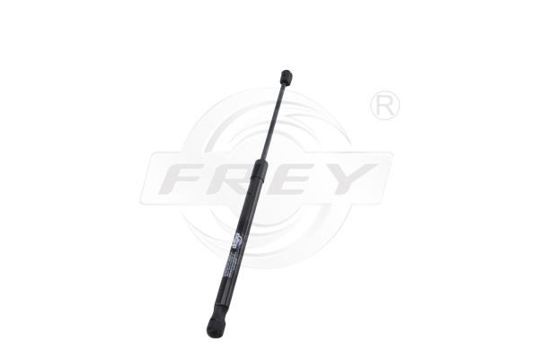 890812101 Frey Hood shock absorber