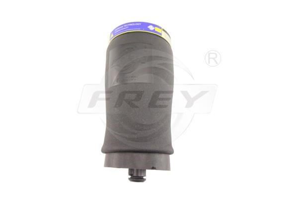 850429401 Frey Air Spring, suspension