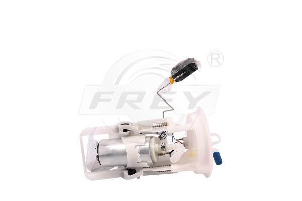 815609001 Frey Fuel pump module