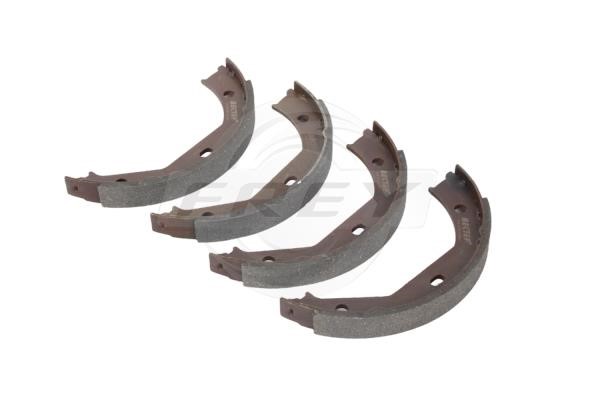 Frey 845600901 Parking brake shoes 845600901