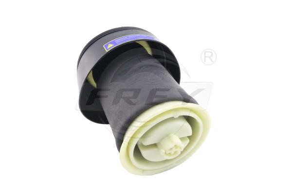 850429301 Frey Air Spring, suspension