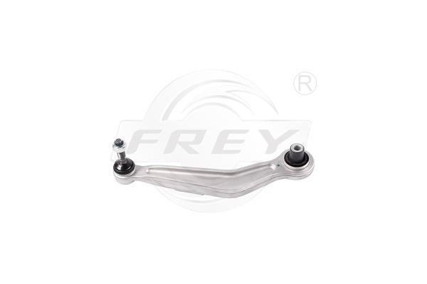 Frey 850105101 Track Control Arm 850105101