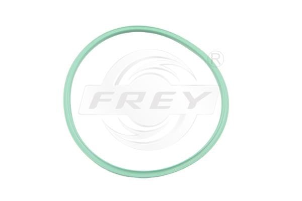 Frey 700531401 Seal, fuel filter 700531401