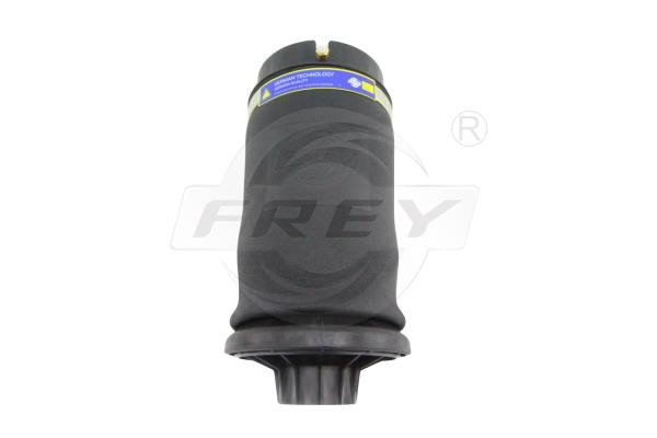 750428001 Frey Air Spring, suspension