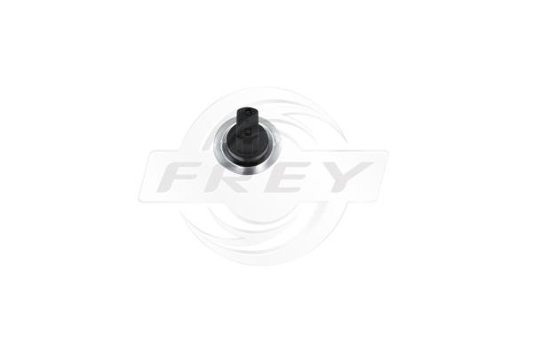 Frey 719300901 Ignition-/Starter Switch 719300901