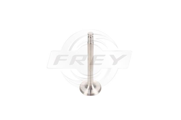 Frey 706801501 Exhaust valve 706801501