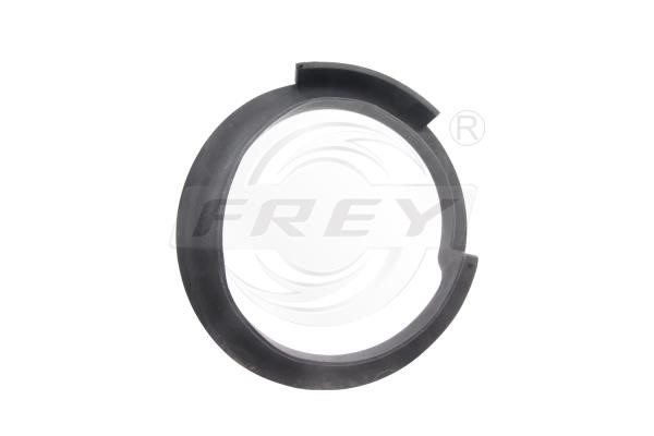 851800901 Frey Suspension spring plate rear