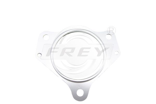 Frey 700531801 Exhaust pipe gasket 700531801