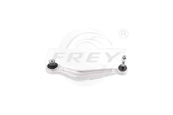 Frey 850101901 Track Control Arm 850101901