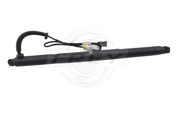 890812601 Frey Tailgate strut