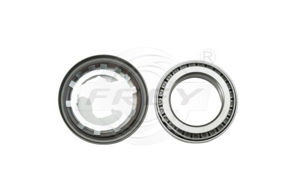Frey 765604101 Wheel bearing kit 765604101