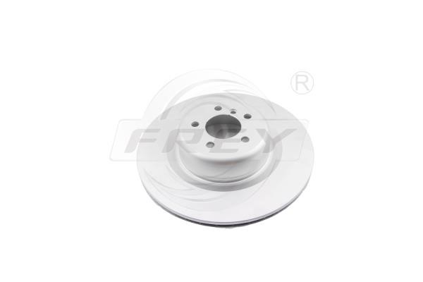 Frey 845234401 Rear brake disc, non-ventilated 845234401