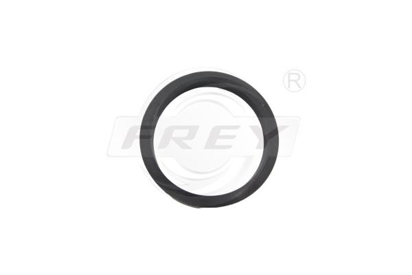 Frey 795511201 Gasket, timing case cover 795511201
