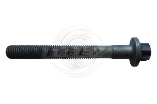 Frey 701000204 Cylinder head bolt (cylinder head) 701000204