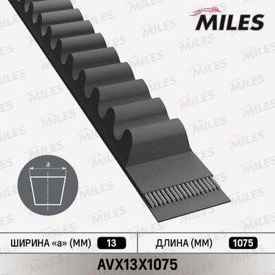Miles AVX13X1075 V-belt AVX13X1075