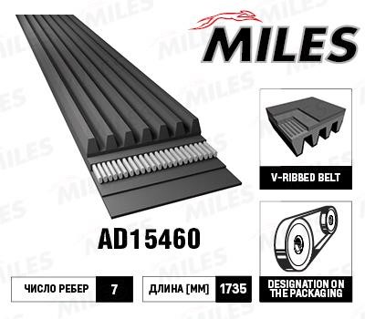 Miles AD15460 V-Ribbed Belt AD15460