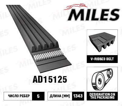 Miles AD15125 V-Ribbed Belt AD15125