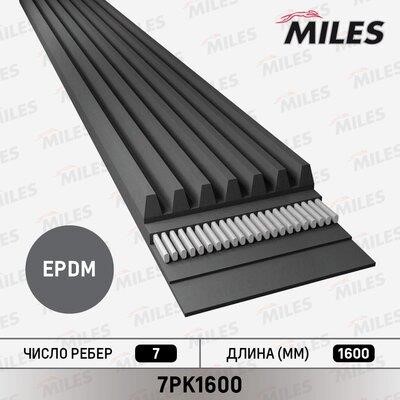 Miles 7PK1600 V-Ribbed Belt 7PK1600
