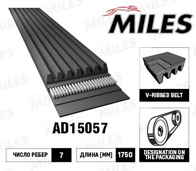 Miles AD15057 V-Ribbed Belt AD15057