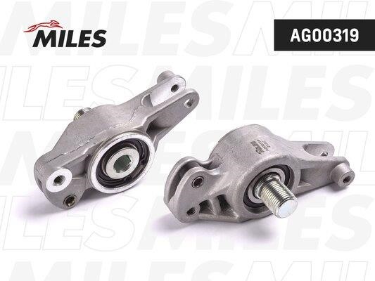 Miles AG00319 Idler roller AG00319