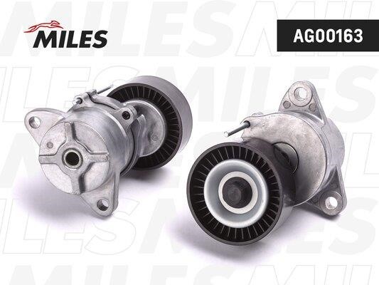 Miles AG00163 Idler roller AG00163
