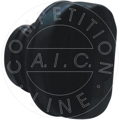 AIC Germany 56035 Fuel Door Assembly 56035