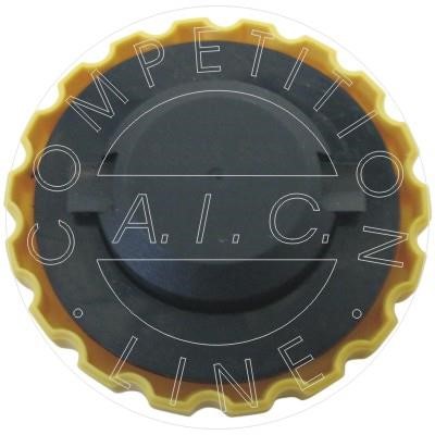 Buy AIC Germany 52643 at a low price in United Arab Emirates!