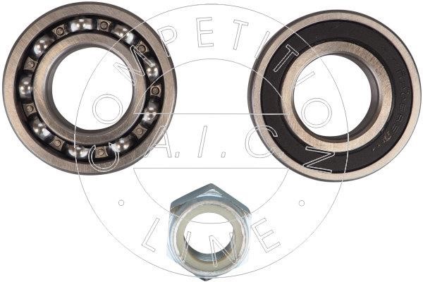 AIC Germany 59593 Wheel bearing kit 59593
