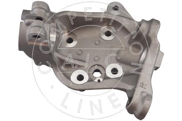 AIC Germany 59418 Steering Knuckle, wheel suspension 59418 59418 AIC Germany Steering Knuckle, wheel suspension