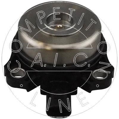 AIC Germany 57615 Central Magnet, camshaft adjustment 57615