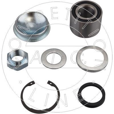 AIC Germany 59587 Wheel bearing kit 59587