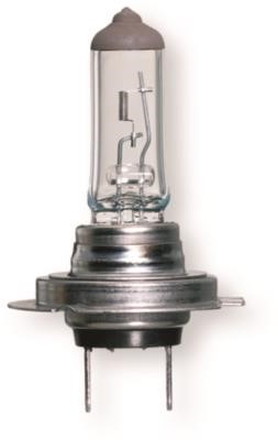Berner 98188[A] Bulb, headlight 98188A