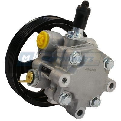 Hydraulic Pump, steering system Motorherz P1041HG