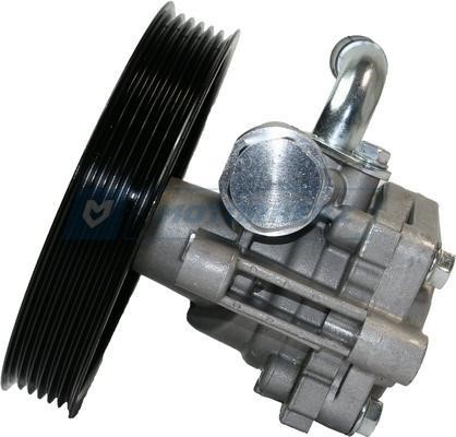Hydraulic Pump, steering system Motorherz P1042HG