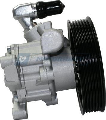 Hydraulic Pump, steering system Motorherz P1029HG