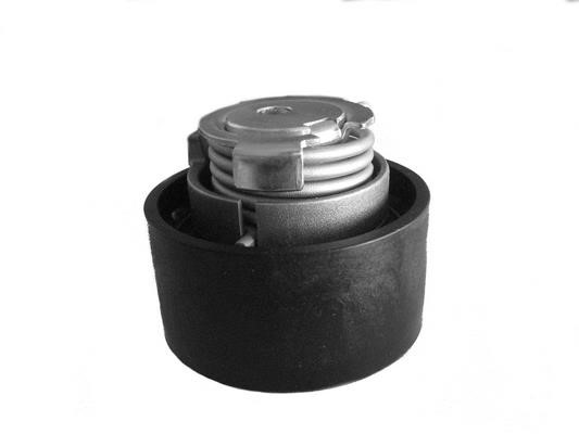 Coram CT1019 Deflection/guide pulley, v-ribbed belt CT1019